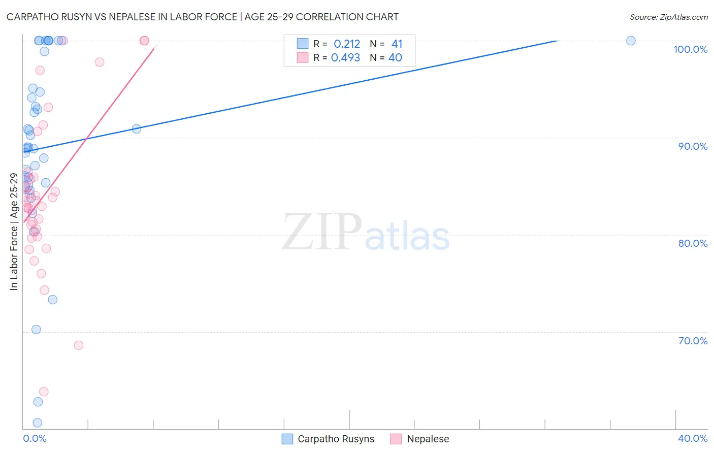 Carpatho Rusyn vs Nepalese In Labor Force | Age 25-29