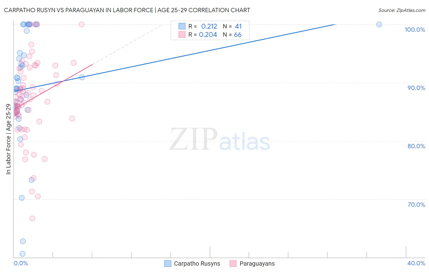 Carpatho Rusyn vs Paraguayan In Labor Force | Age 25-29