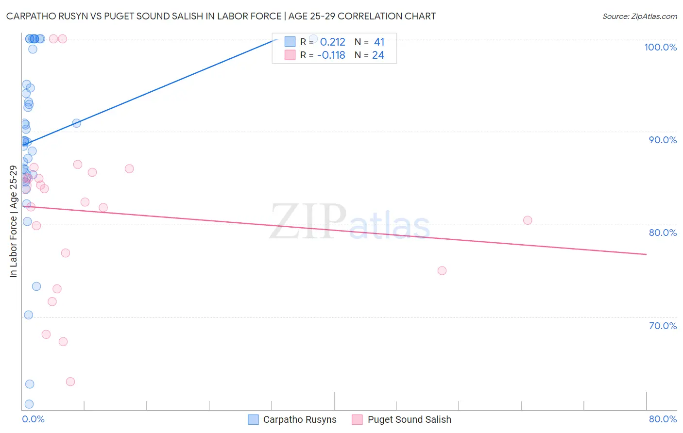 Carpatho Rusyn vs Puget Sound Salish In Labor Force | Age 25-29