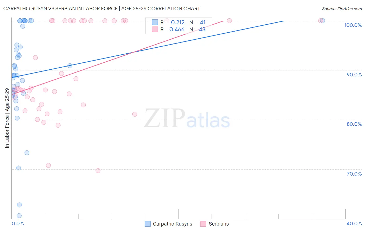 Carpatho Rusyn vs Serbian In Labor Force | Age 25-29