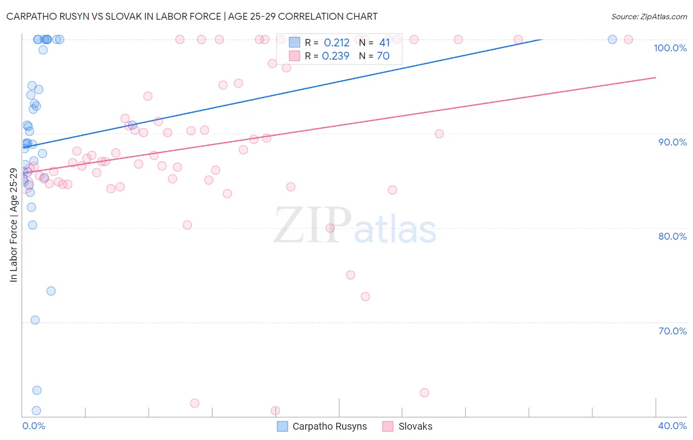 Carpatho Rusyn vs Slovak In Labor Force | Age 25-29