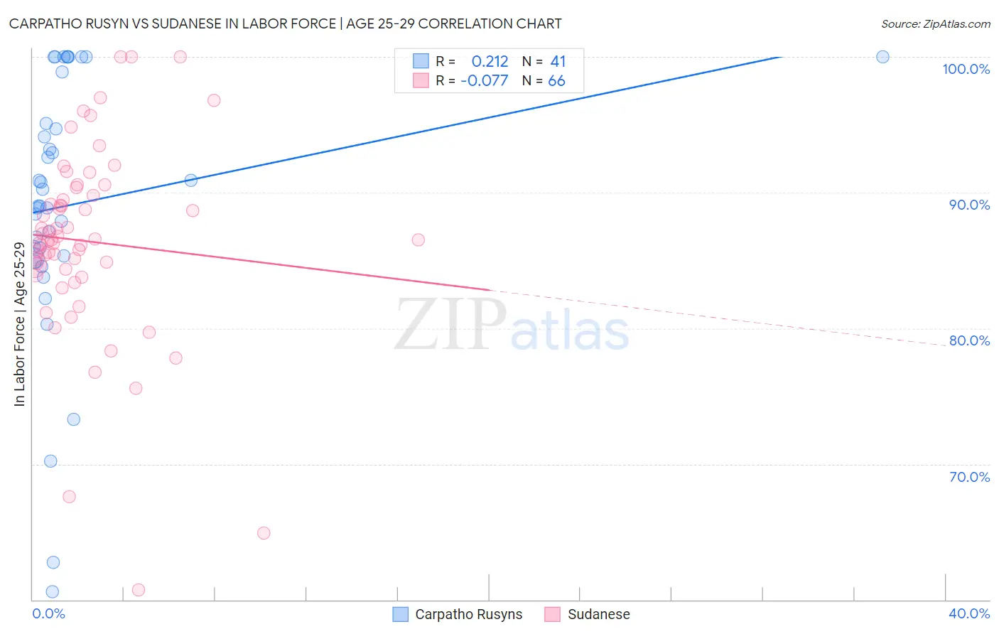 Carpatho Rusyn vs Sudanese In Labor Force | Age 25-29