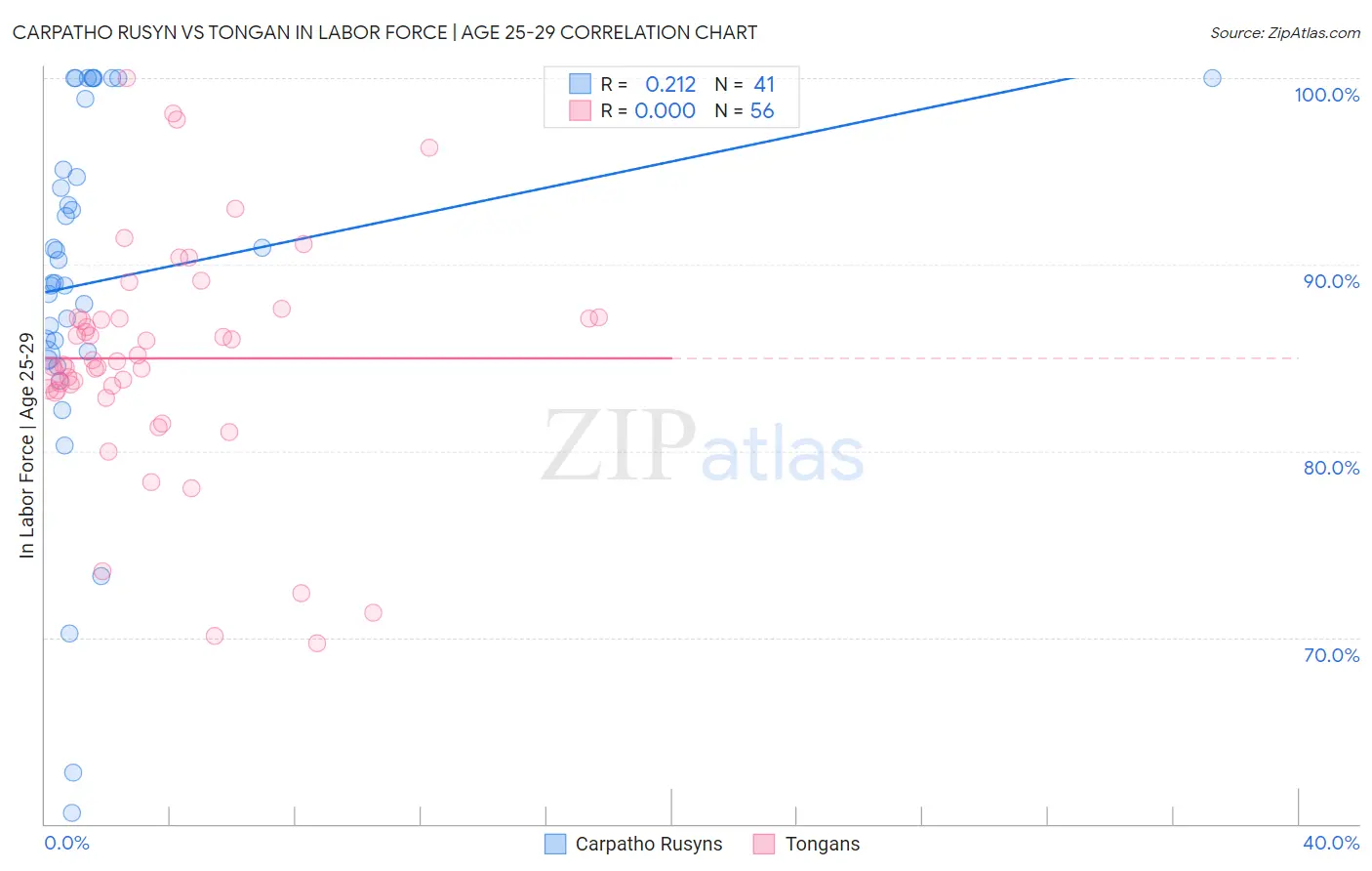 Carpatho Rusyn vs Tongan In Labor Force | Age 25-29