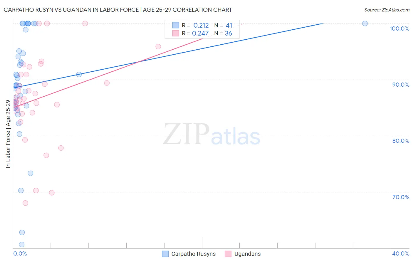 Carpatho Rusyn vs Ugandan In Labor Force | Age 25-29