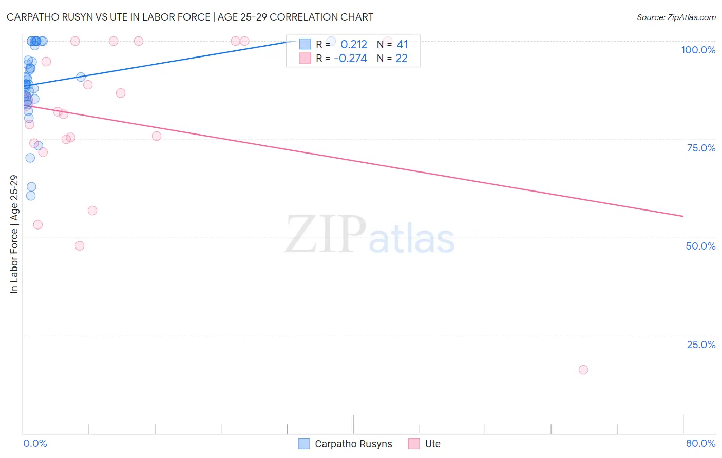 Carpatho Rusyn vs Ute In Labor Force | Age 25-29