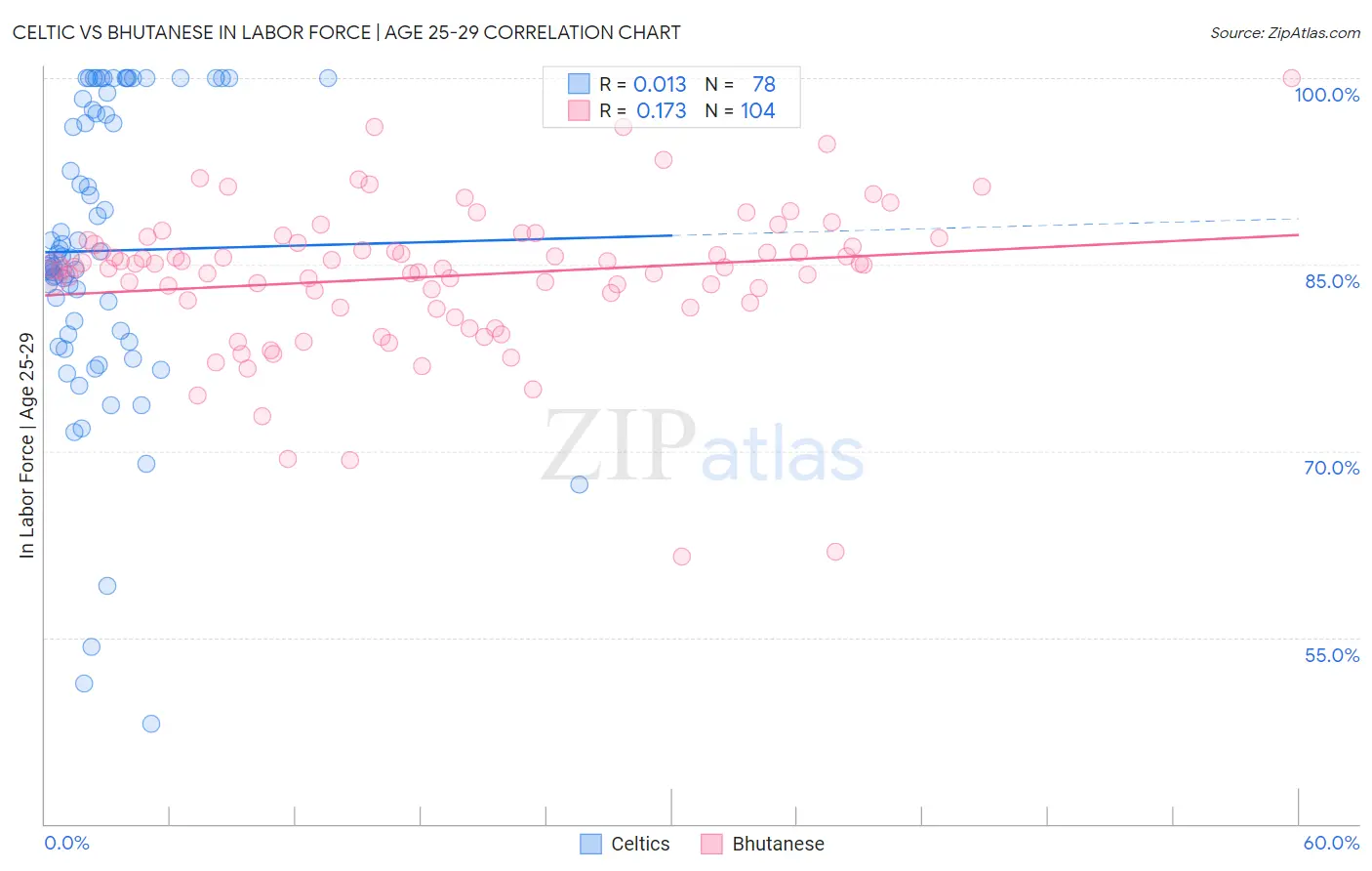 Celtic vs Bhutanese In Labor Force | Age 25-29