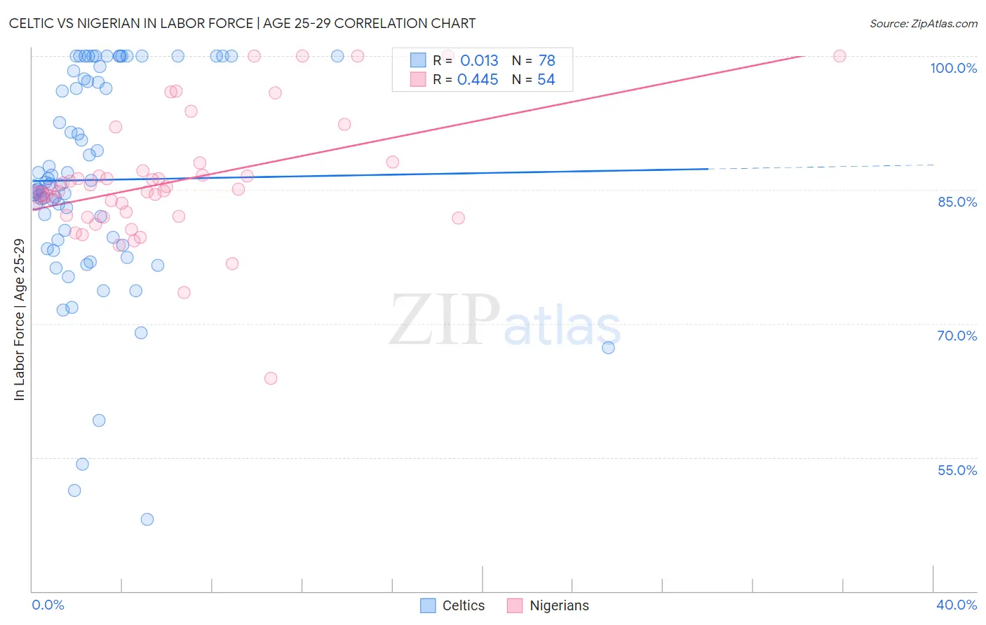 Celtic vs Nigerian In Labor Force | Age 25-29