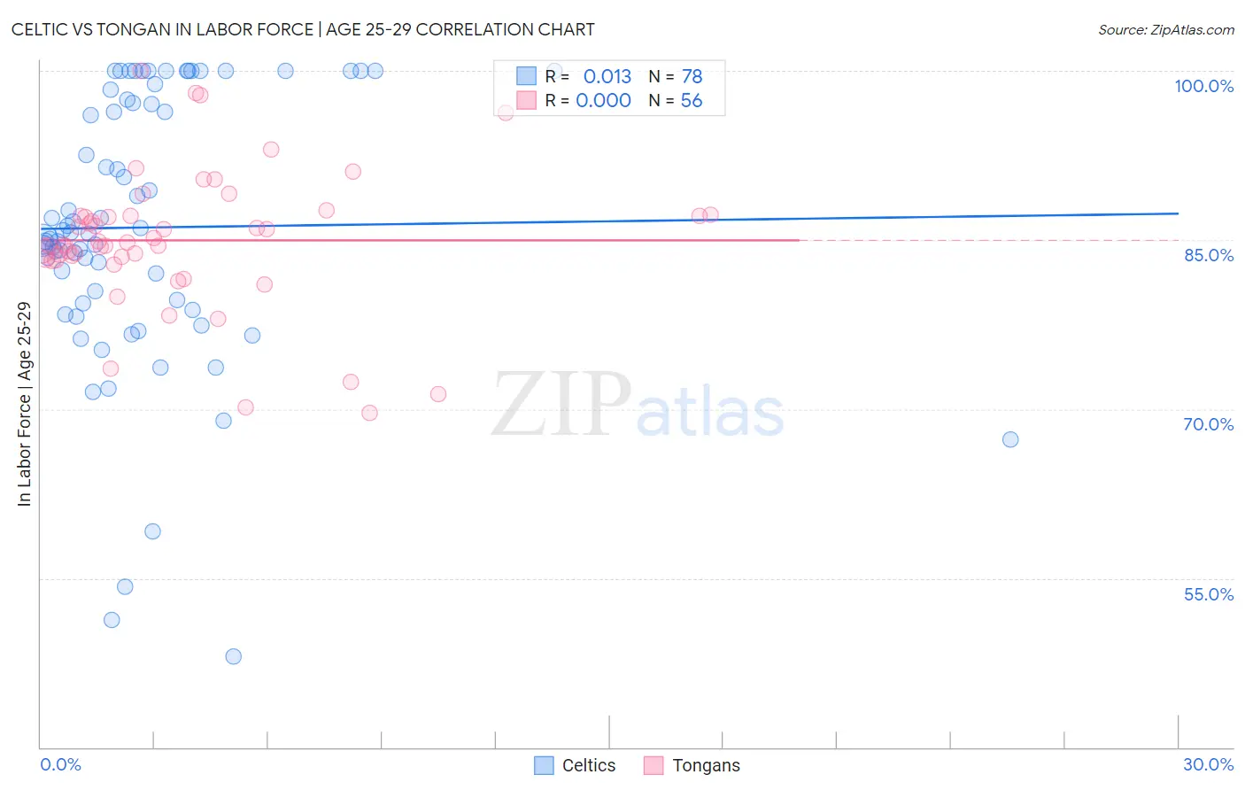 Celtic vs Tongan In Labor Force | Age 25-29