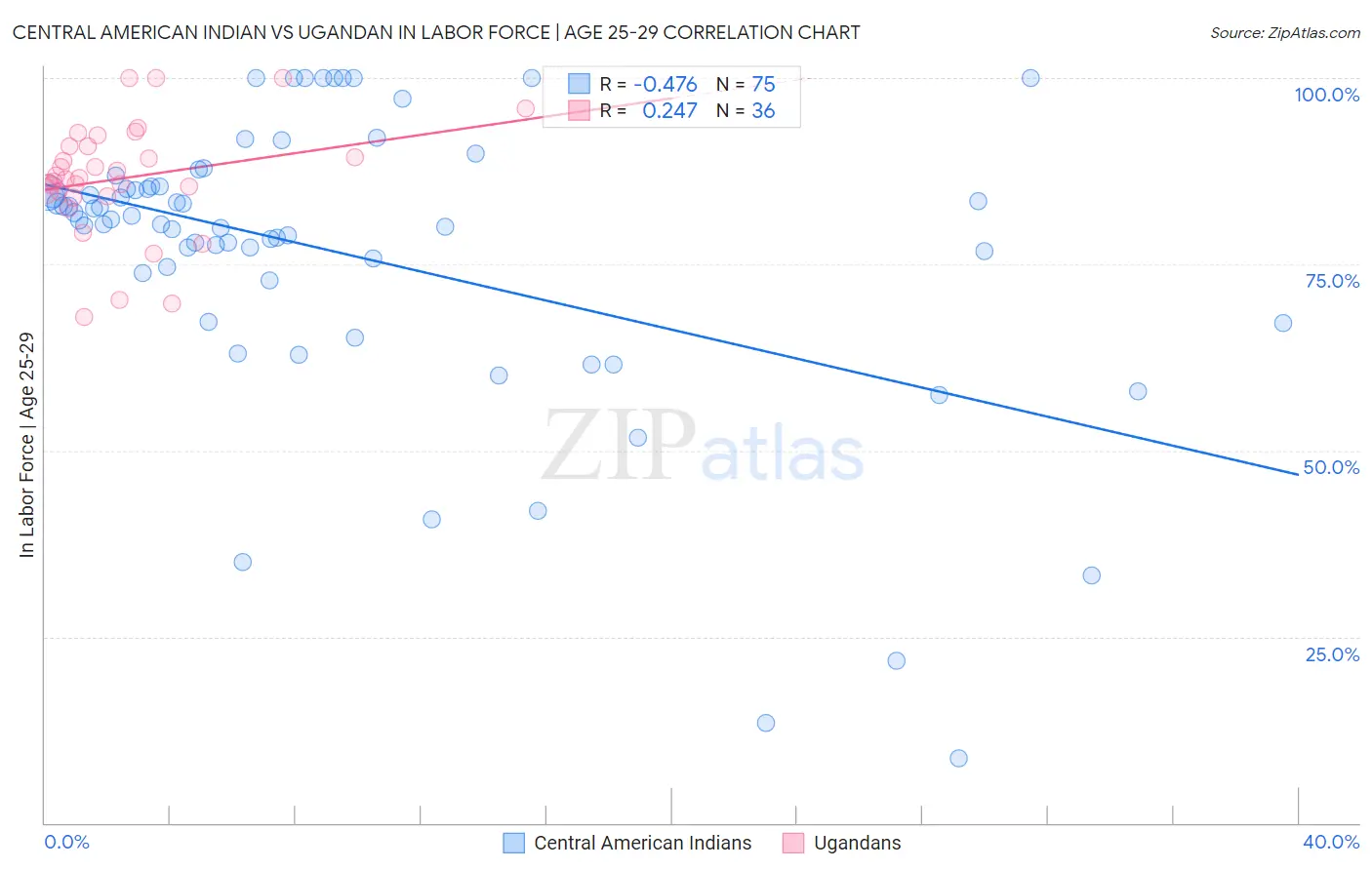 Central American Indian vs Ugandan In Labor Force | Age 25-29