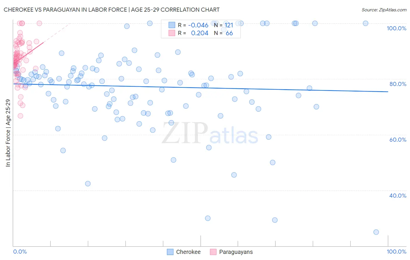 Cherokee vs Paraguayan In Labor Force | Age 25-29