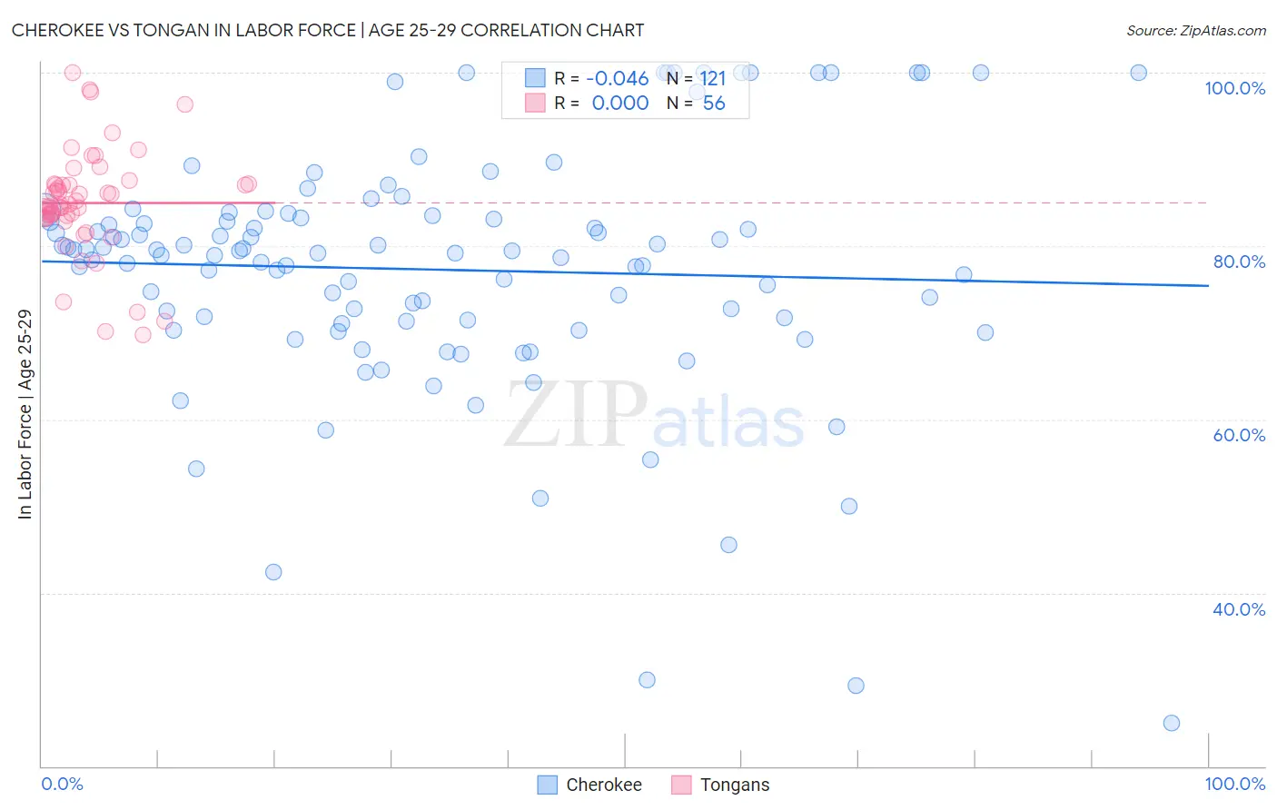 Cherokee vs Tongan In Labor Force | Age 25-29