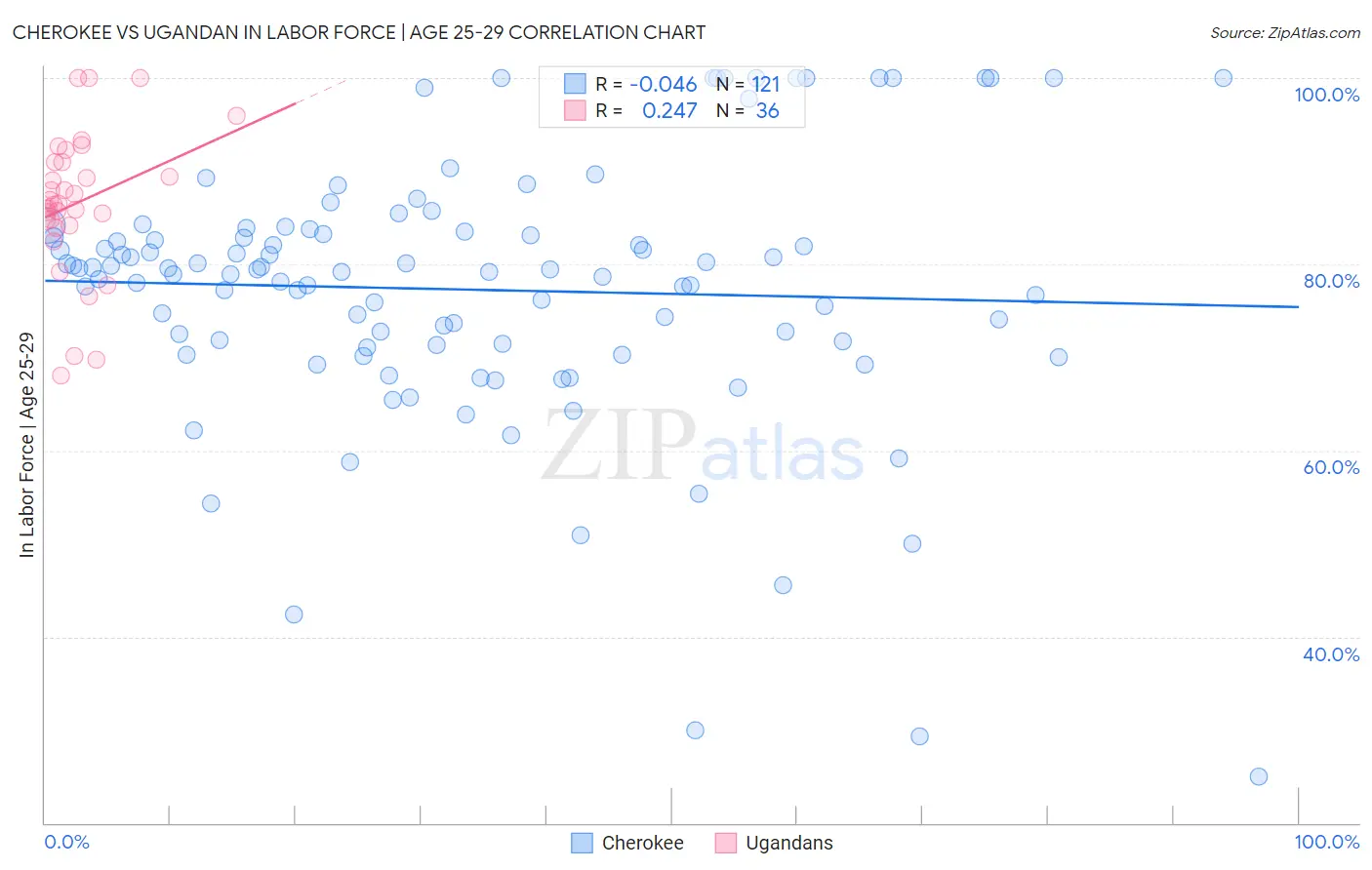 Cherokee vs Ugandan In Labor Force | Age 25-29