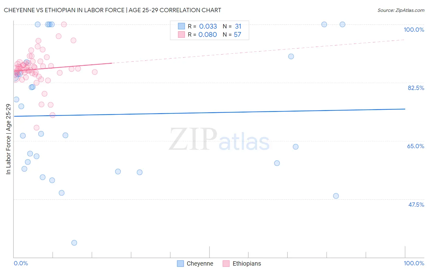 Cheyenne vs Ethiopian In Labor Force | Age 25-29