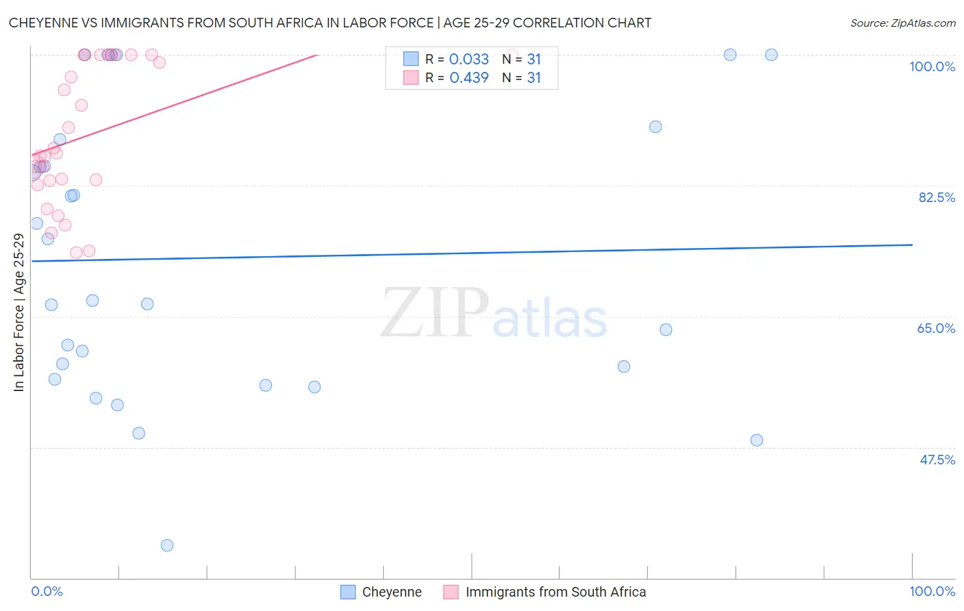 Cheyenne vs Immigrants from South Africa In Labor Force | Age 25-29