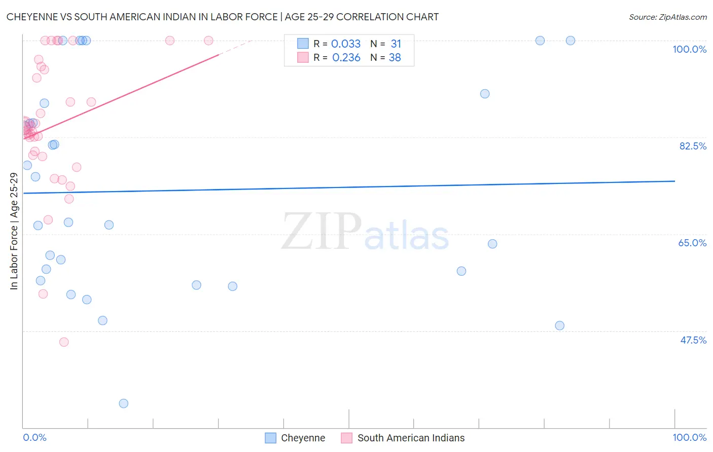 Cheyenne vs South American Indian In Labor Force | Age 25-29