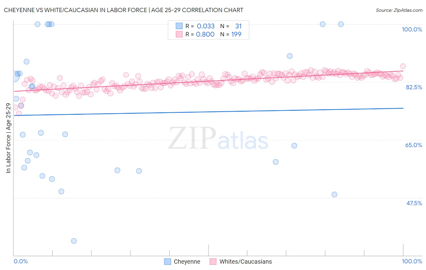 Cheyenne vs White/Caucasian In Labor Force | Age 25-29