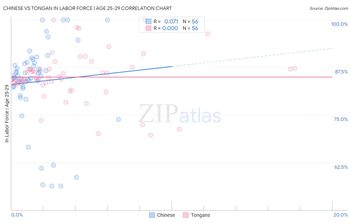 Chinese vs Tongan In Labor Force | Age 25-29