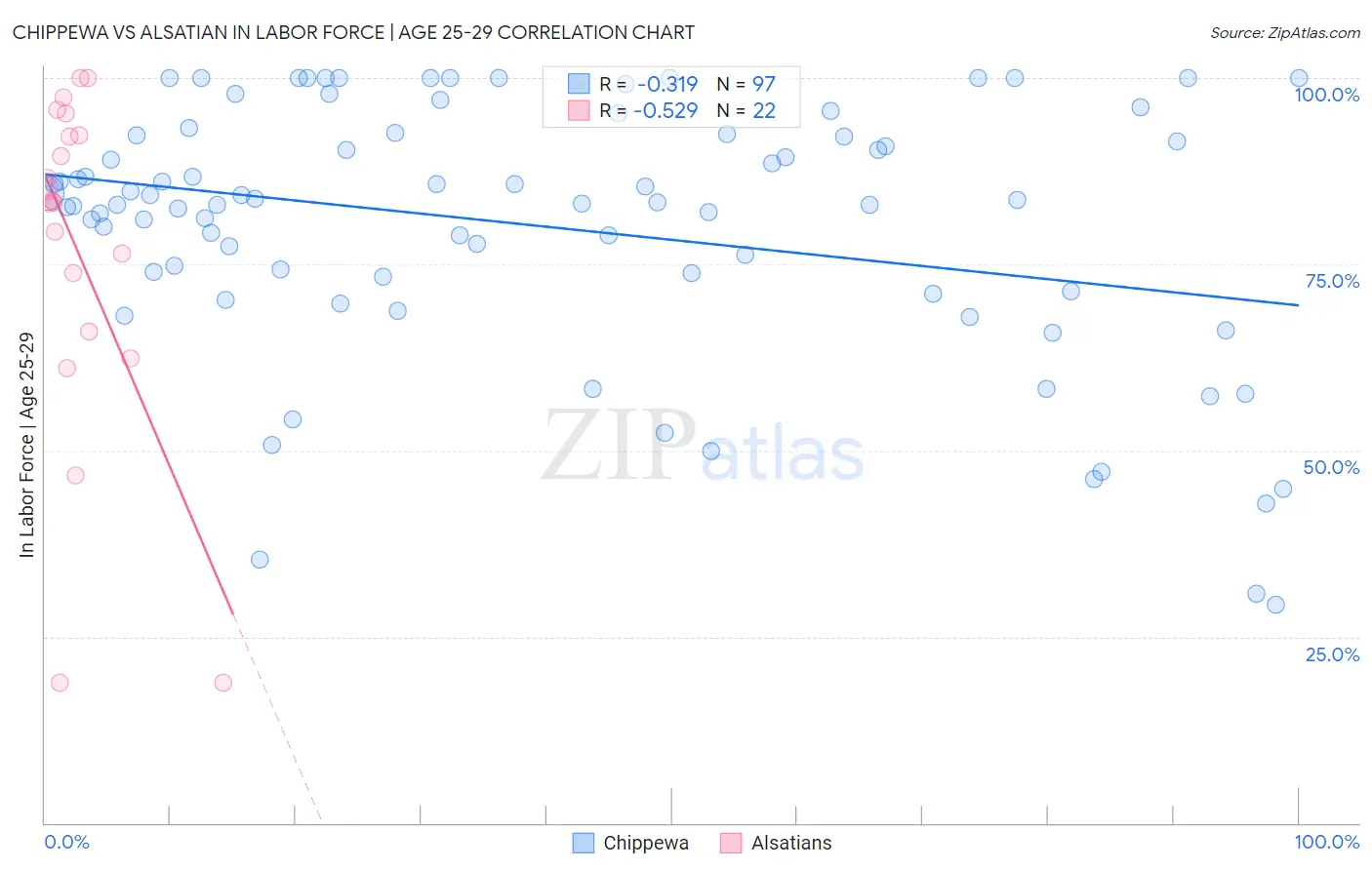 Chippewa vs Alsatian In Labor Force | Age 25-29