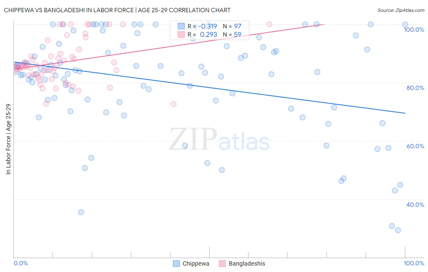 Chippewa vs Bangladeshi In Labor Force | Age 25-29
