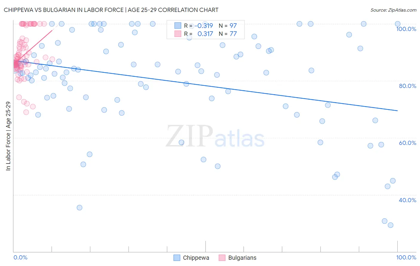 Chippewa vs Bulgarian In Labor Force | Age 25-29