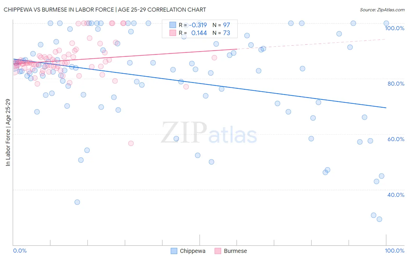 Chippewa vs Burmese In Labor Force | Age 25-29