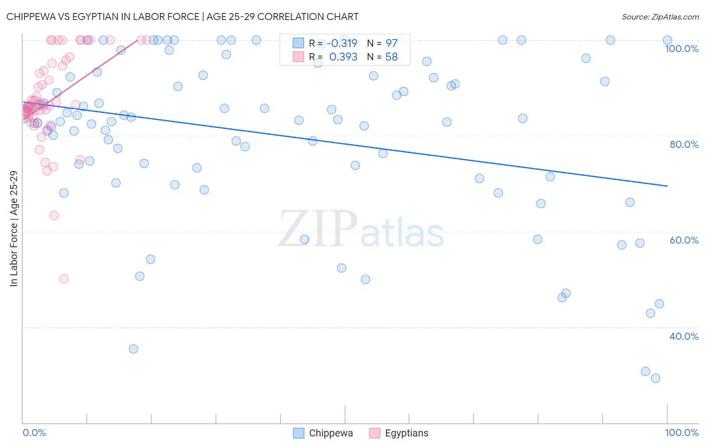 Chippewa vs Egyptian In Labor Force | Age 25-29