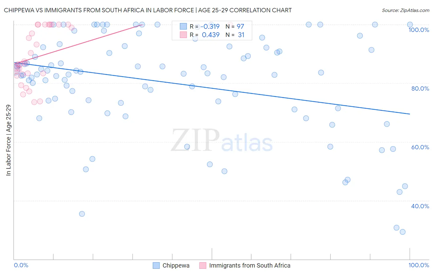 Chippewa vs Immigrants from South Africa In Labor Force | Age 25-29