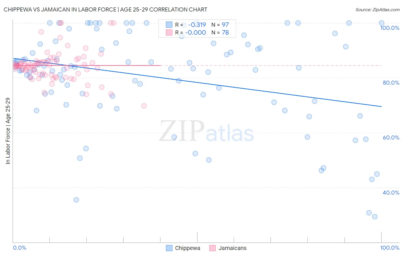 Chippewa vs Jamaican In Labor Force | Age 25-29