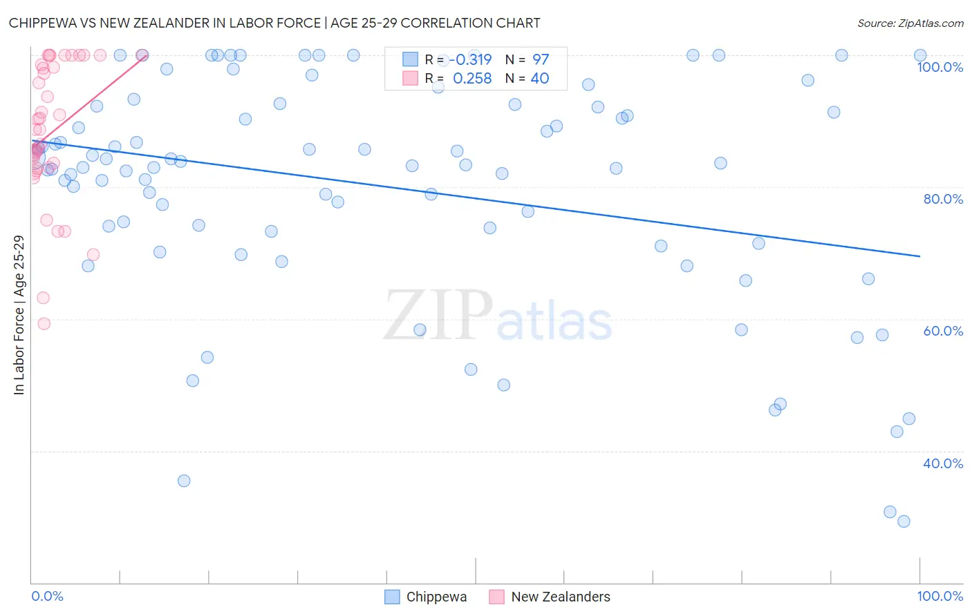 Chippewa vs New Zealander In Labor Force | Age 25-29