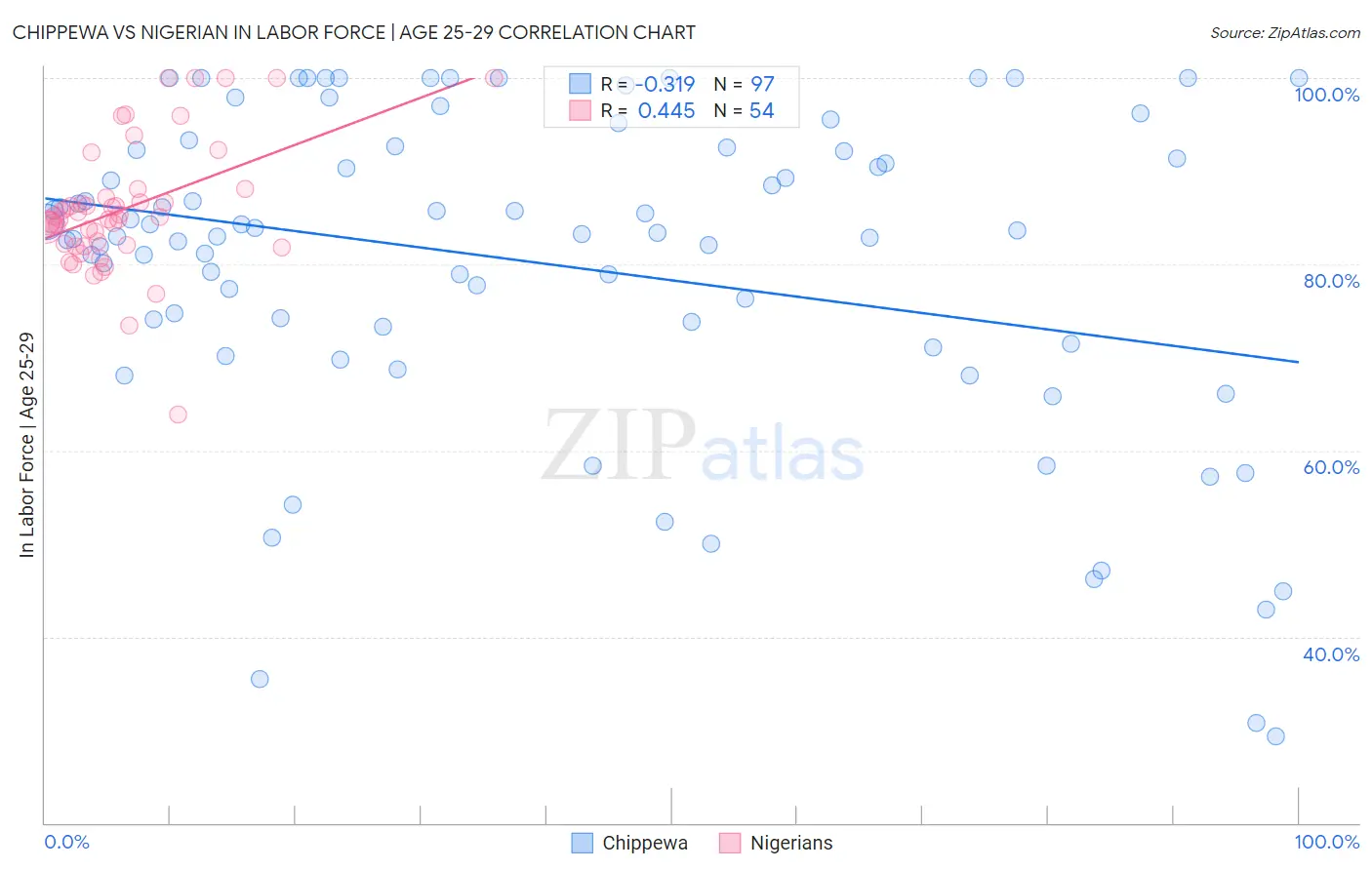 Chippewa vs Nigerian In Labor Force | Age 25-29