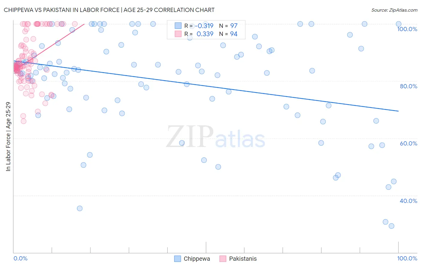 Chippewa vs Pakistani In Labor Force | Age 25-29