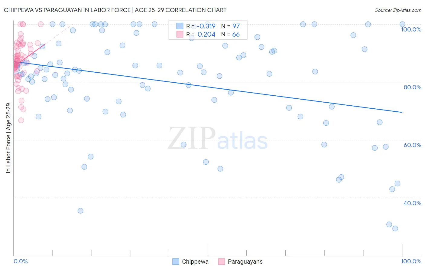 Chippewa vs Paraguayan In Labor Force | Age 25-29