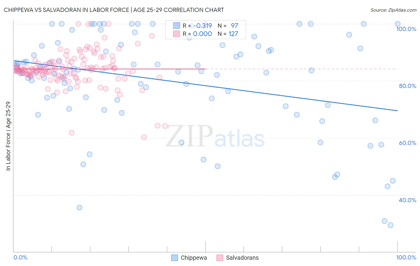 Chippewa vs Salvadoran In Labor Force | Age 25-29