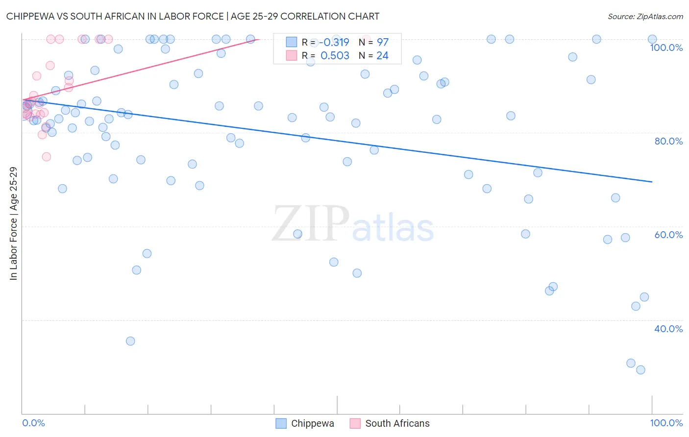 Chippewa vs South African In Labor Force | Age 25-29