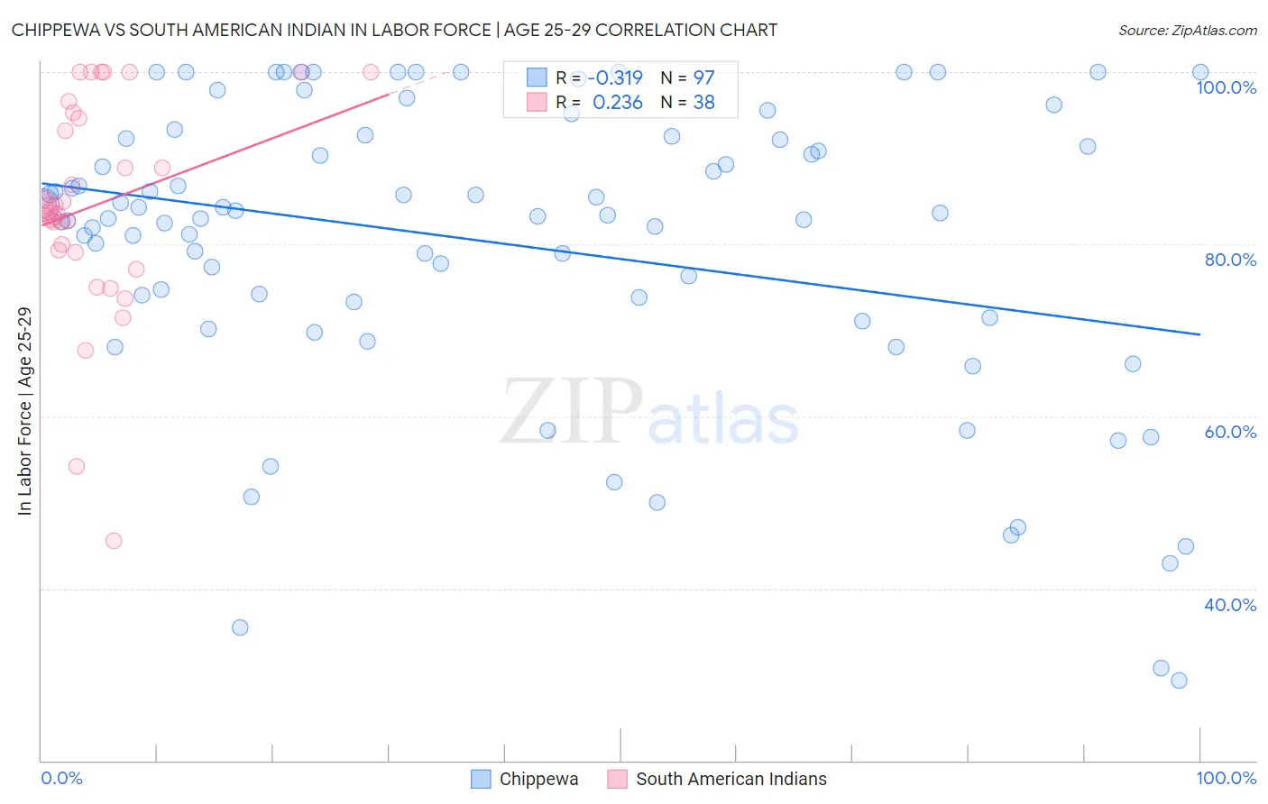 Chippewa vs South American Indian In Labor Force | Age 25-29
