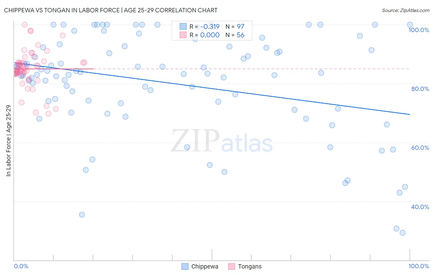Chippewa vs Tongan In Labor Force | Age 25-29