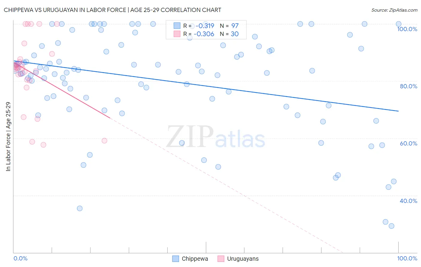 Chippewa vs Uruguayan In Labor Force | Age 25-29