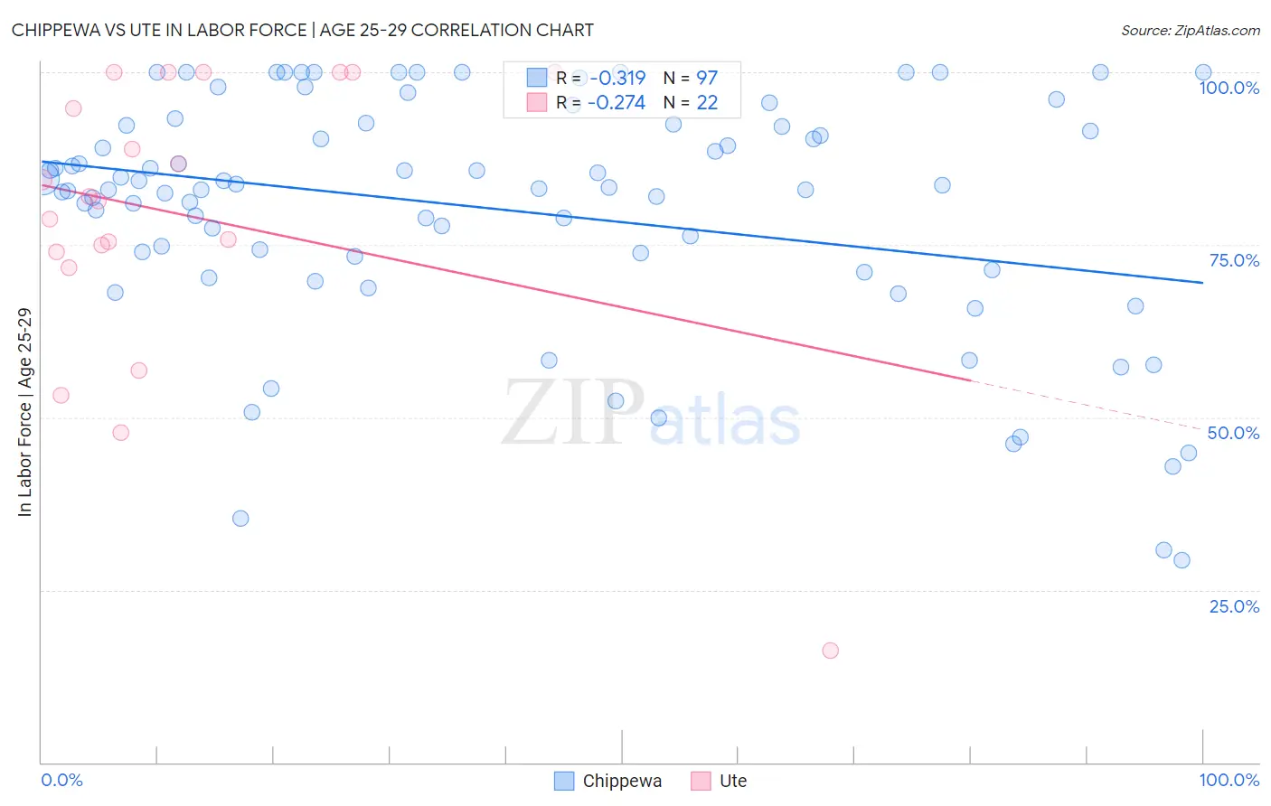 Chippewa vs Ute In Labor Force | Age 25-29