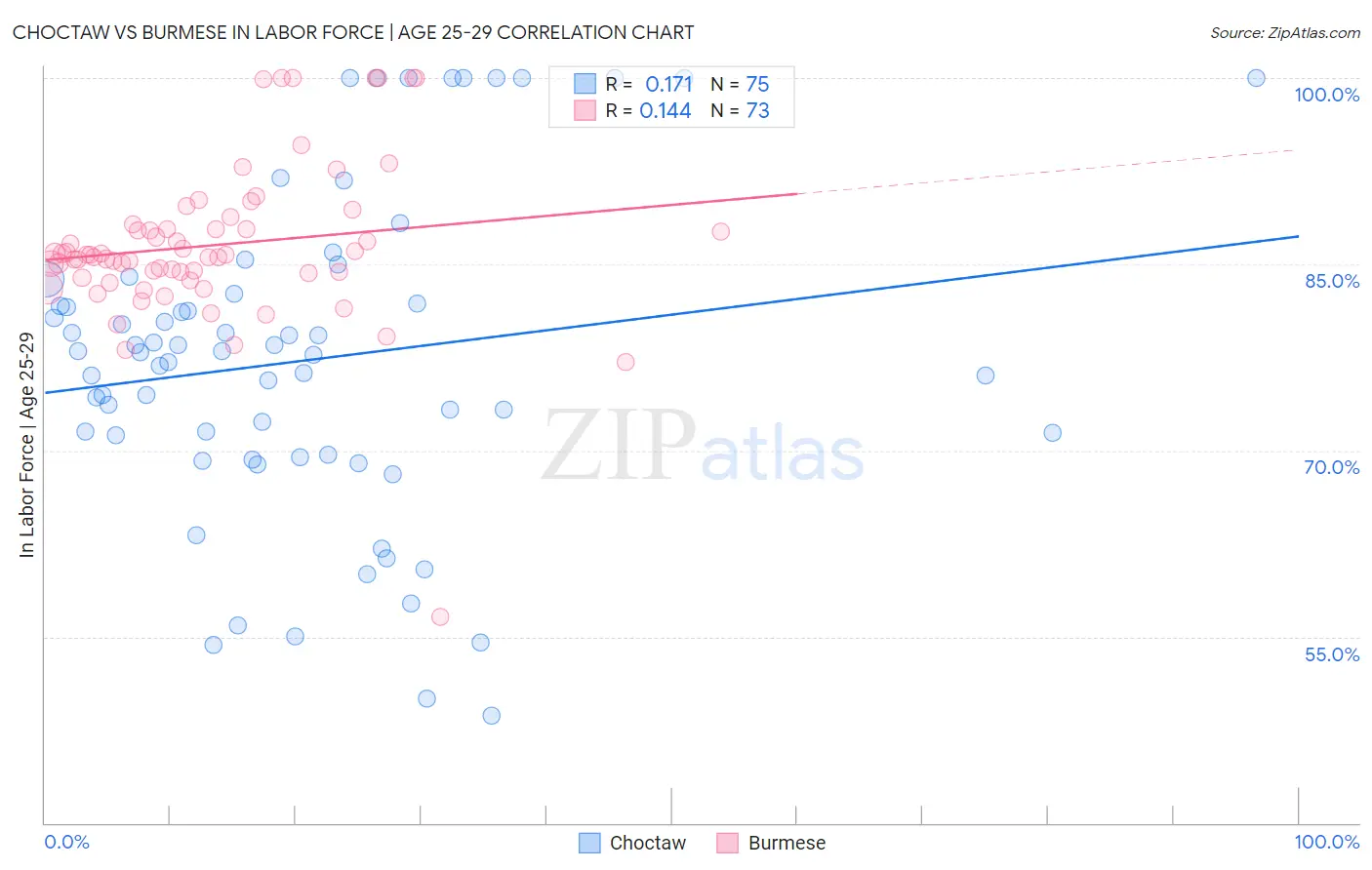Choctaw vs Burmese In Labor Force | Age 25-29