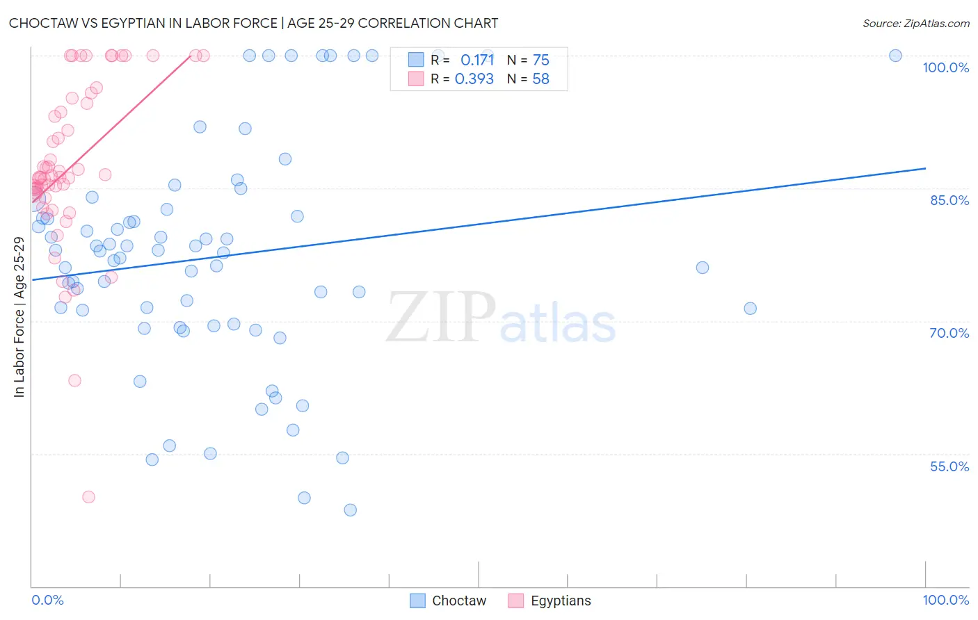 Choctaw vs Egyptian In Labor Force | Age 25-29