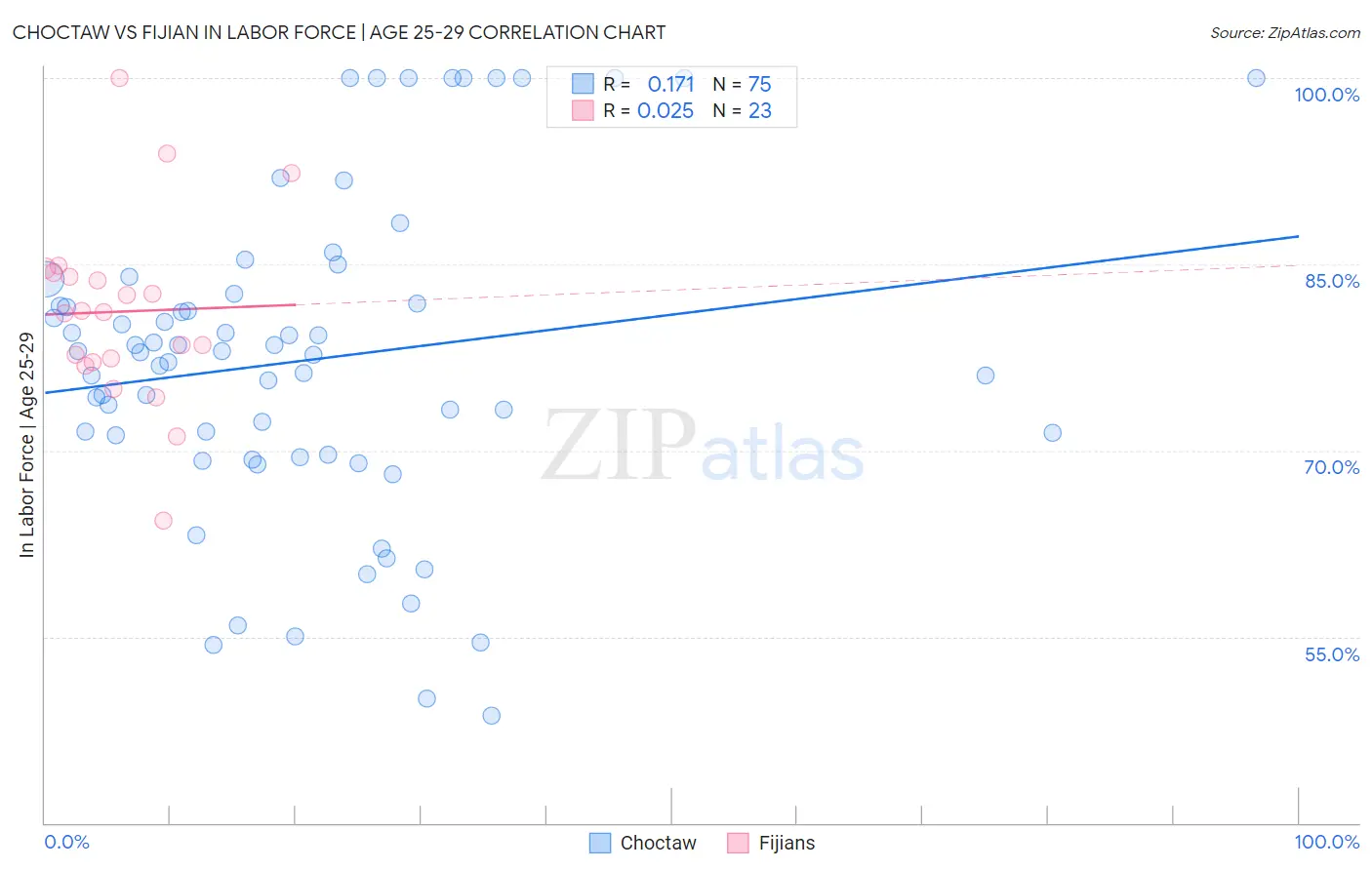 Choctaw vs Fijian In Labor Force | Age 25-29