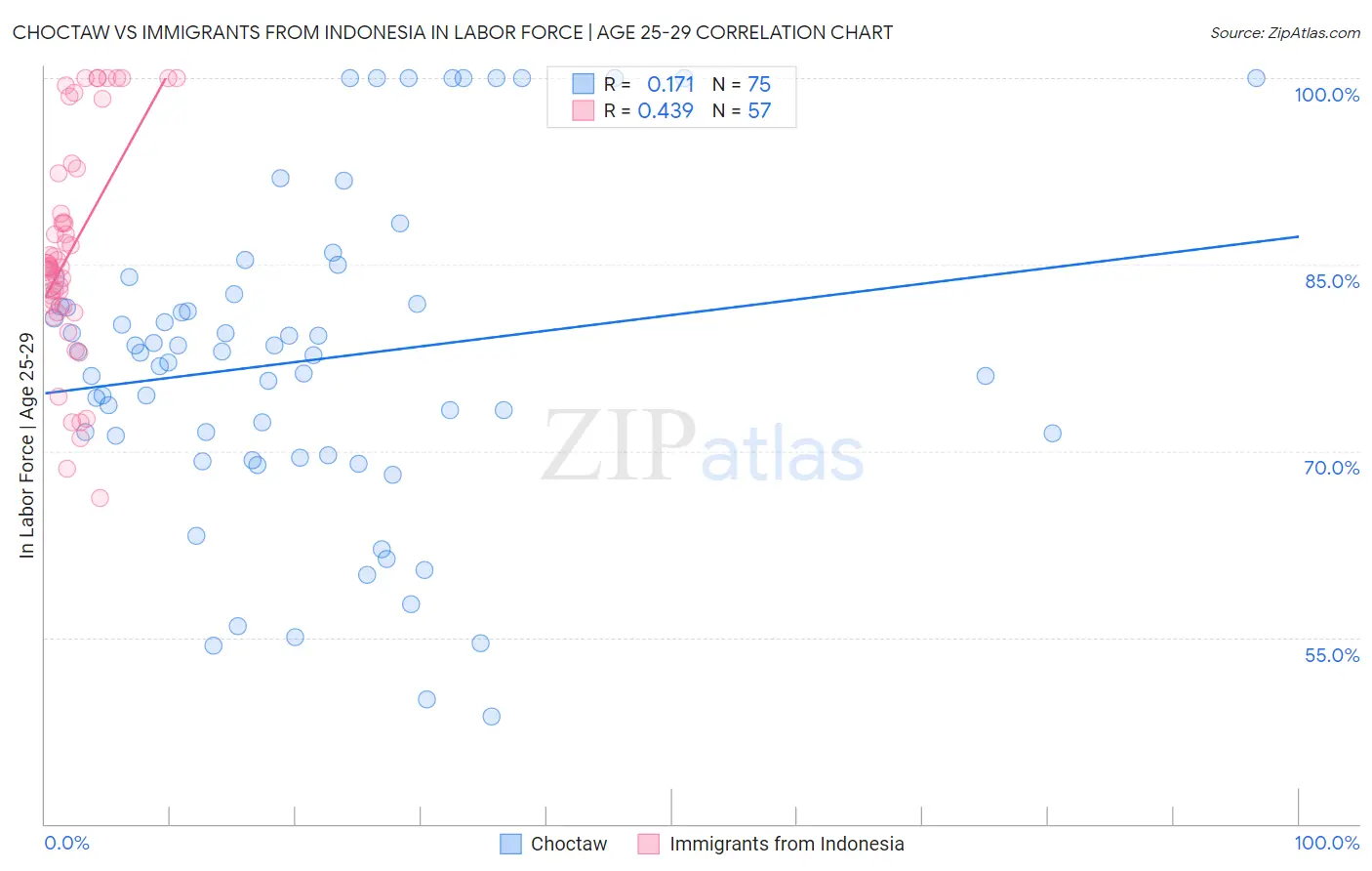 Choctaw vs Immigrants from Indonesia In Labor Force | Age 25-29