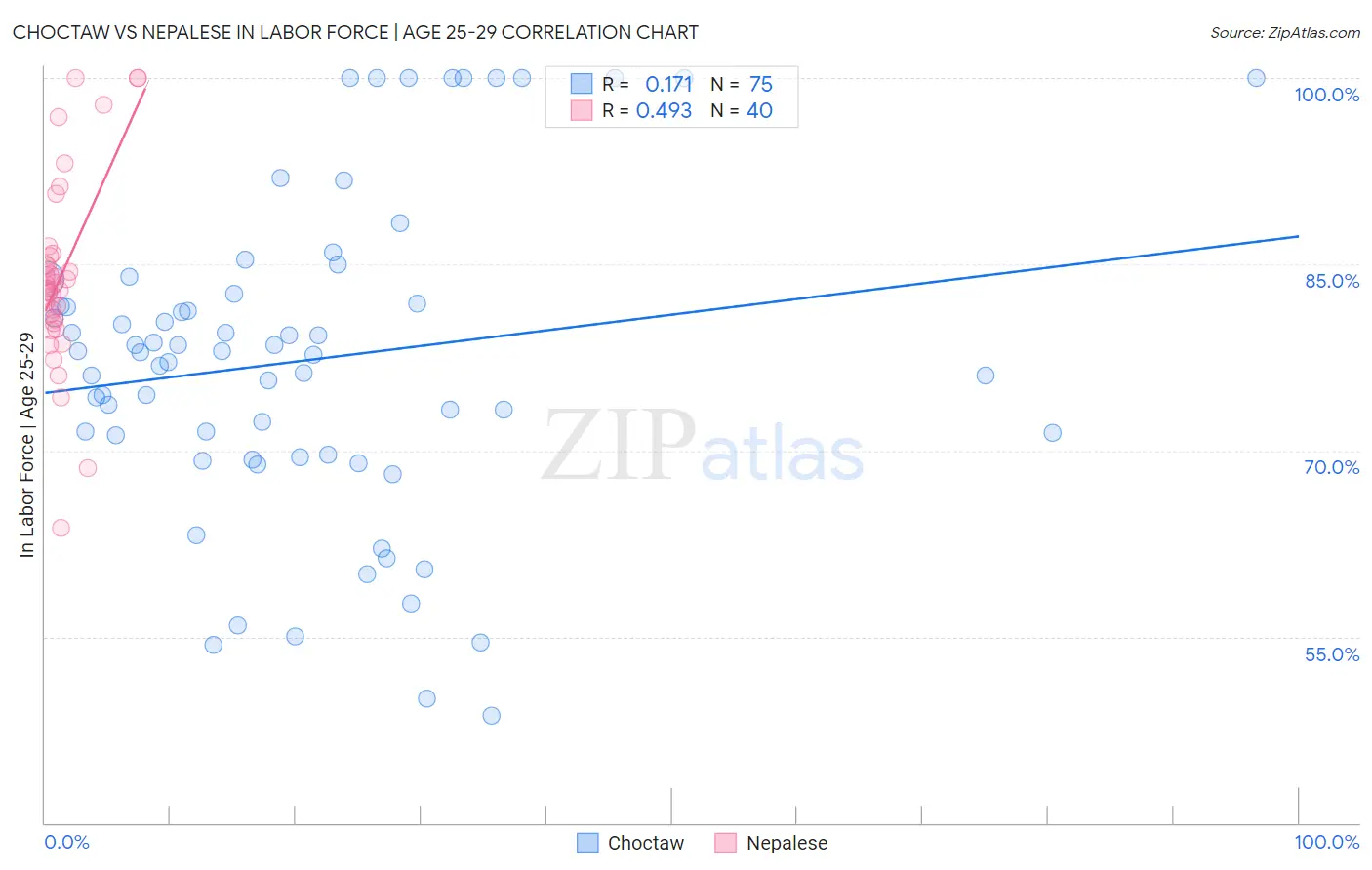 Choctaw vs Nepalese In Labor Force | Age 25-29
