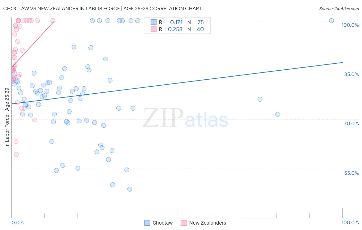 Choctaw vs New Zealander In Labor Force | Age 25-29