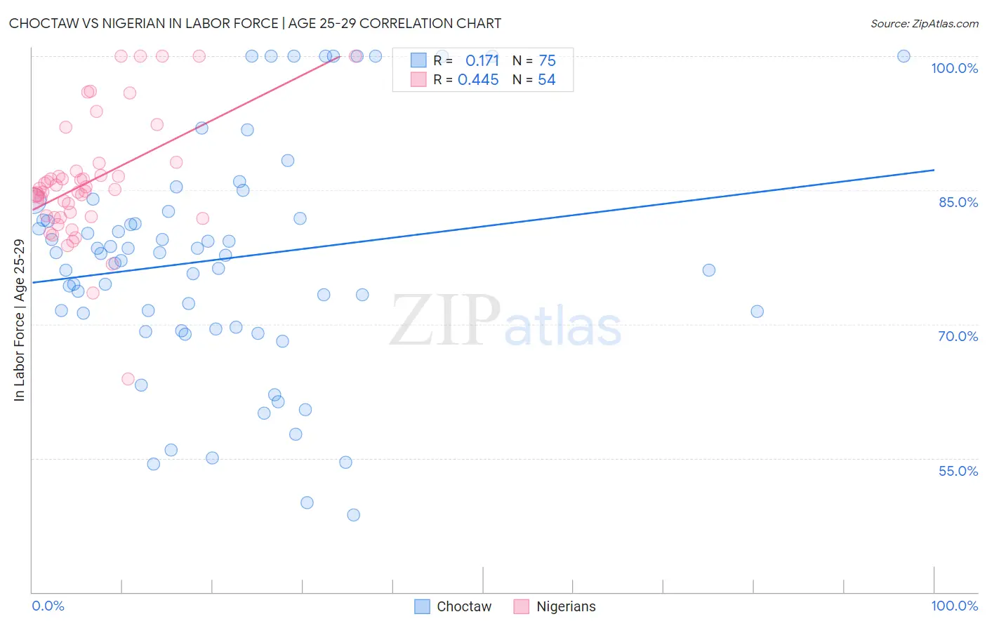 Choctaw vs Nigerian In Labor Force | Age 25-29