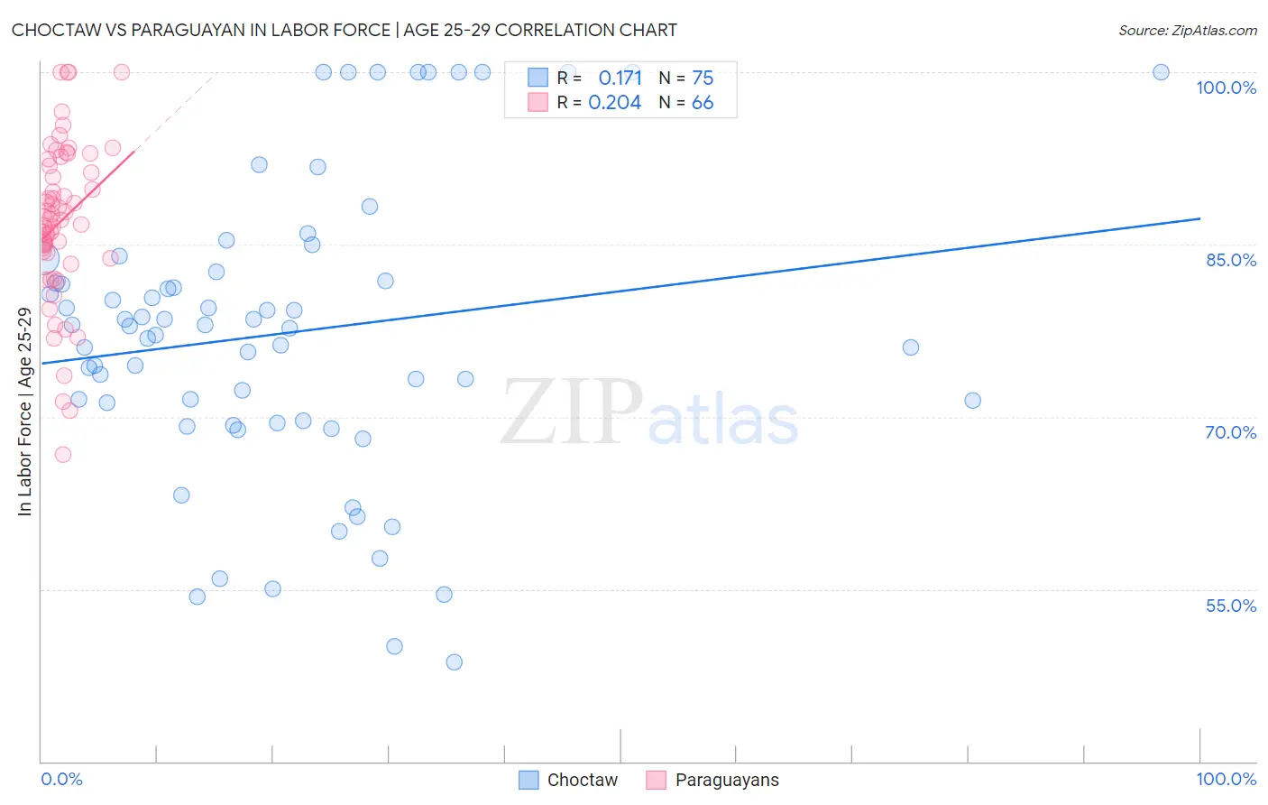 Choctaw vs Paraguayan In Labor Force | Age 25-29