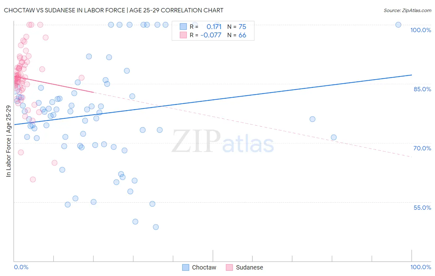 Choctaw vs Sudanese In Labor Force | Age 25-29