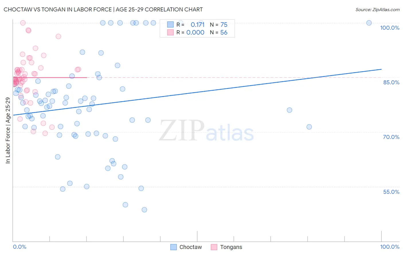 Choctaw vs Tongan In Labor Force | Age 25-29