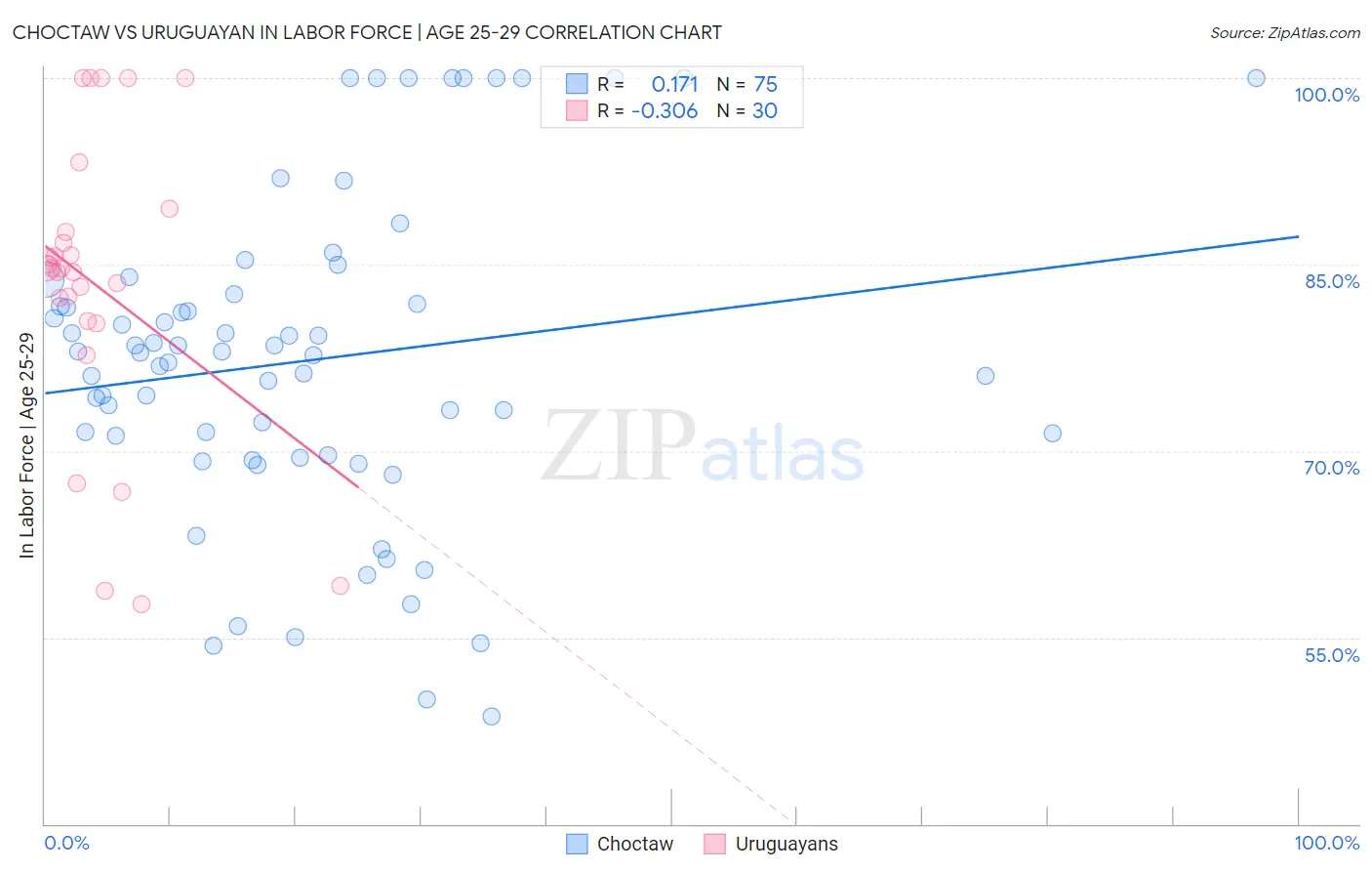 Choctaw vs Uruguayan In Labor Force | Age 25-29