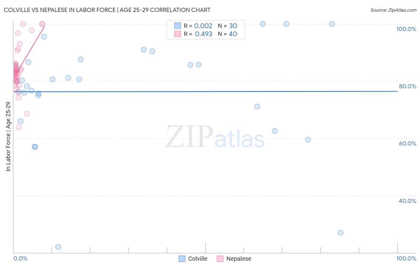 Colville vs Nepalese In Labor Force | Age 25-29
